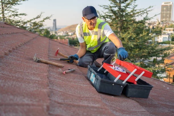 Best Fascia and Soffit Installation  in Glenmora, LA